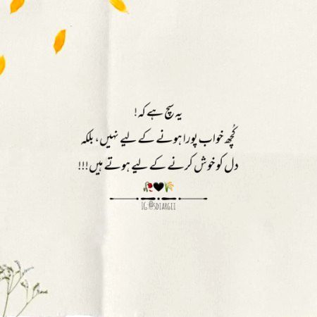 یہ سچ ہے کہ!
کُچھ خواب پورا ہونے کے لیے نہیں، 
بلکہ دل کو خوش کرنے کے لیے ہوتے ہیں!!!🖤