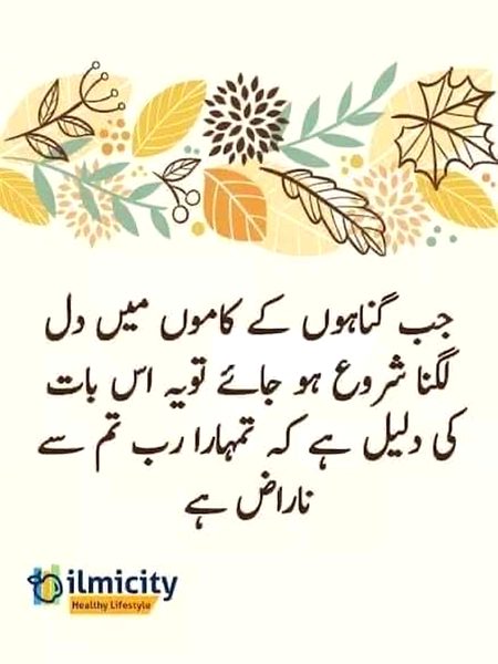 Islamic Quotes image