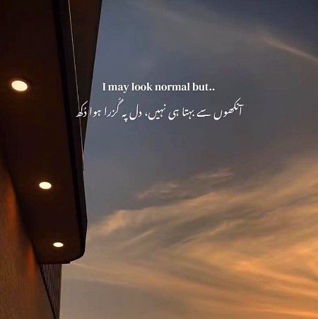 ….🖤🖤🖤….