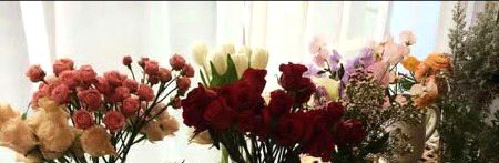 Beautiful Nature image