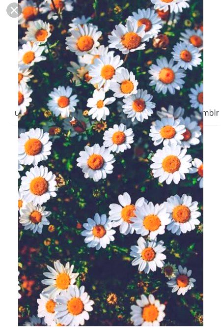 ، زندگی کی بہترین اور خوبصورت ترین چیزیں وہ نہیں ، ،، ہوتی 🌹 ،، جنہیں ہم...
آنکھوں سے دیکھتے ہیں ،، یا کانوں سے سنتے ہیں 🌹 ،، بلکہ وہ ہوتی ہیں🌹 ،، جنہیں ہم دل سے محسوس کرتے ہیں🌺🍂🌹