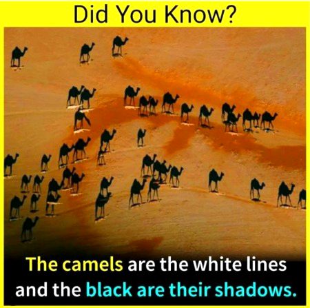 Interesting Posts image