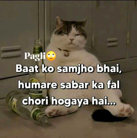 کچھ دیر آپ فری لانسرز، یوٹیوبرز اور ایمازون والوں کے ساتھ گزار لیں تو یوں محسوس ہوتا ہے کہ دنیا میں بس آپ ہی غریب اور نکمے رہ گئے ہیں💔😕