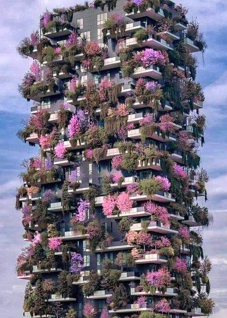 Beautiful Structures image