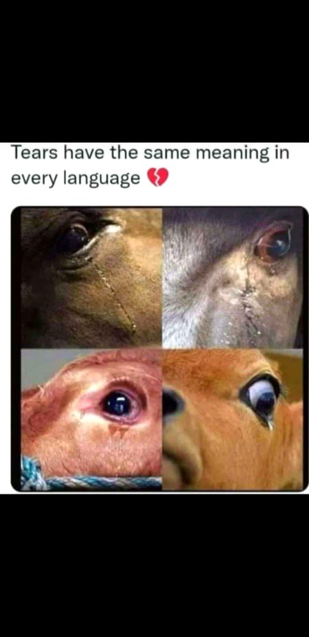 ..🤐😦🥺..