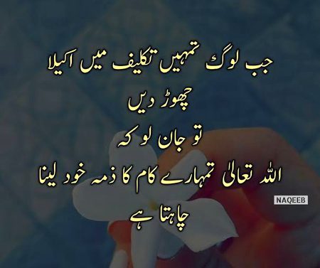 Islamic Quotes image