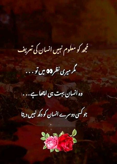 🖤💜🧡🖤💜🧡