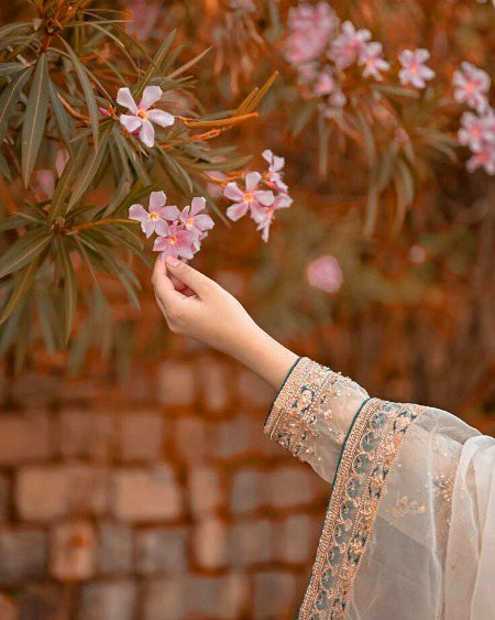 Beautiful Nature image