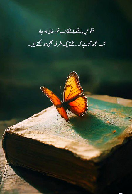 Life Advice image