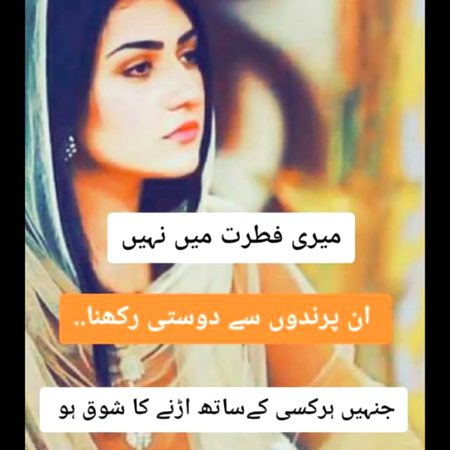Attitude Poetry image