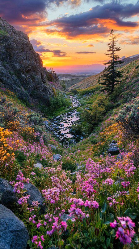 Beautiful Nature image