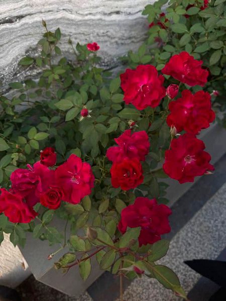 Beautiful Nature image