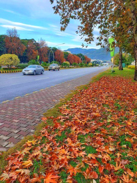 Constitution avenue Islamabad