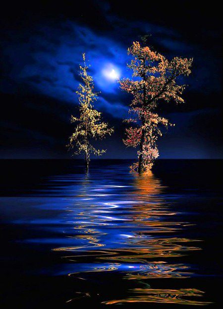 Digital Art image