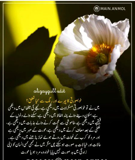 Romantic Novels image