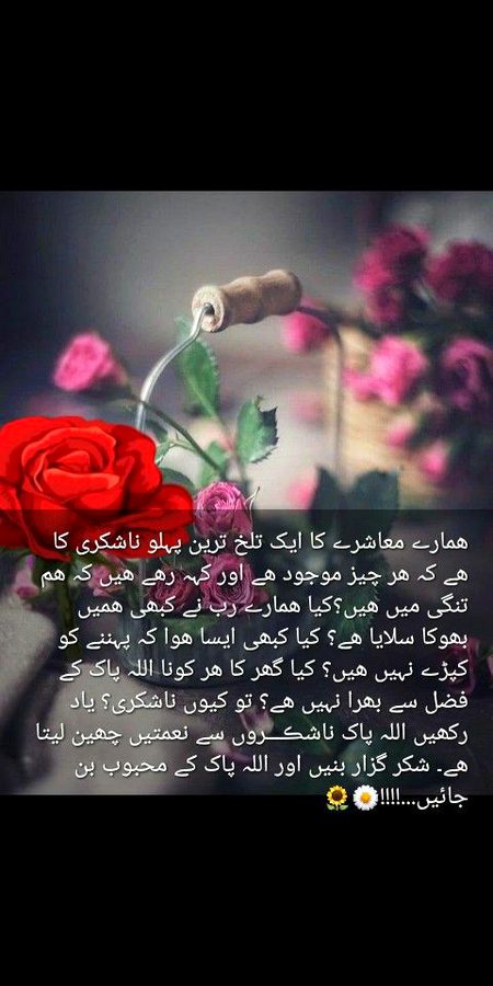Absolutely right
