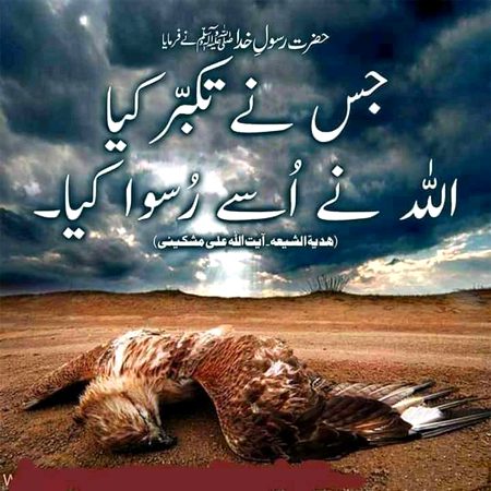 Islamic Quotes image