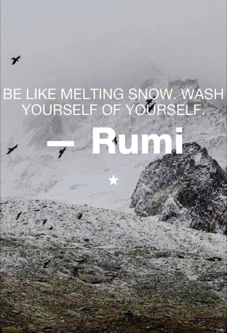 Life Advice image
