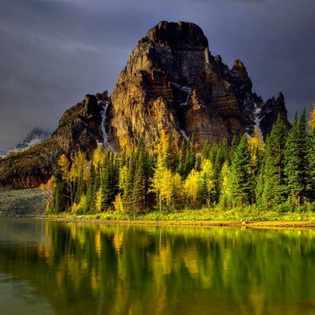 Beautiful Nature image