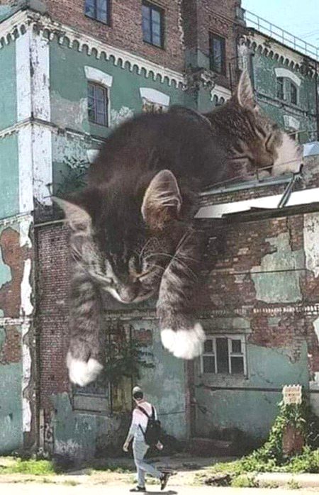 Street Art image