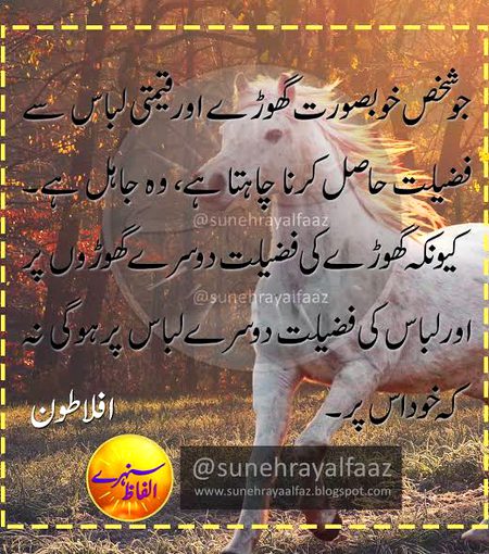 🍁Zoq_Shab🍁