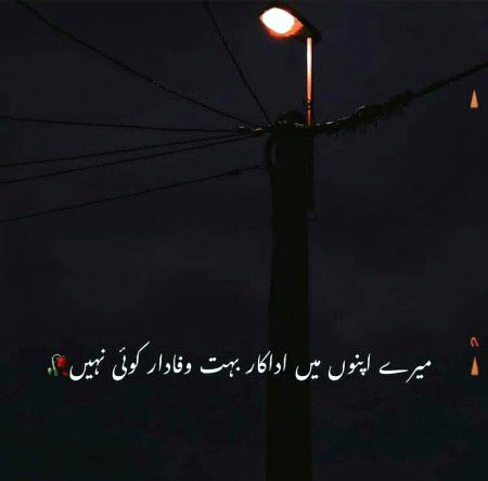Jab apna nahi to wafa kesa 🔥✌💔