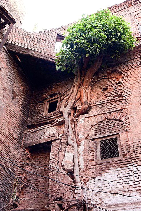 Beautiful Structures image
