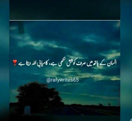 Alone Foji