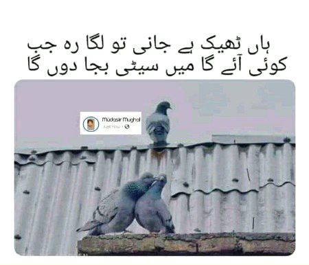 Memes & Satire image