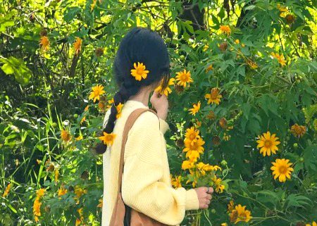 تُم میرے گھر سے نئے پُھول چُرا سکتی ہو اپنے بالوں میں لگانے کا بہانہ کر کے!🌼