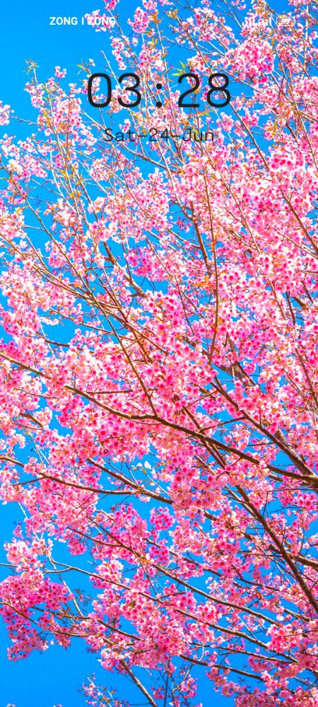 Beautiful Nature image