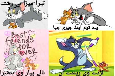 Memes & Satire image