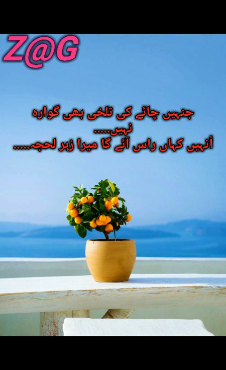 Attitude Poetry image