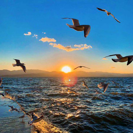 Beautiful Nature image