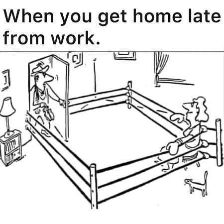 Memes & Satire image