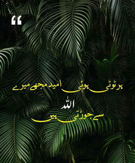 Islamic Quotes image