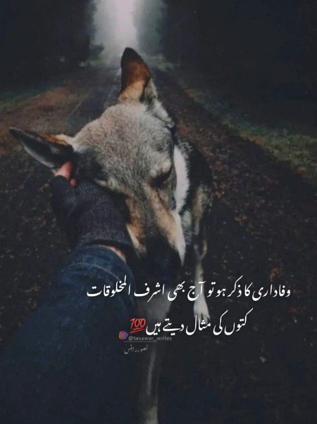 Life Advice image