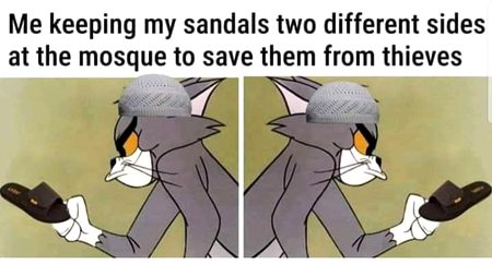 Memes & Satire image