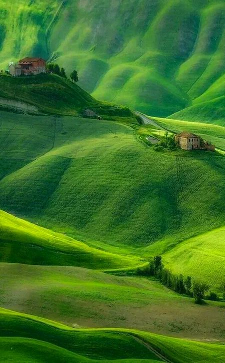 Beautiful Nature image