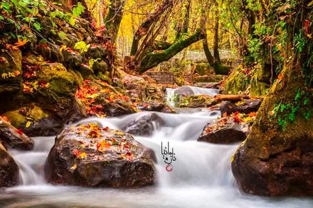Beautiful Nature image