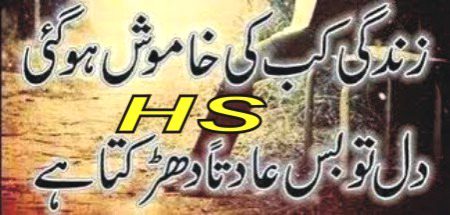 ضدی ہے مگر تھک جائے گا
اک لڑکا دکھ سہتے سہتے مر جائے گا