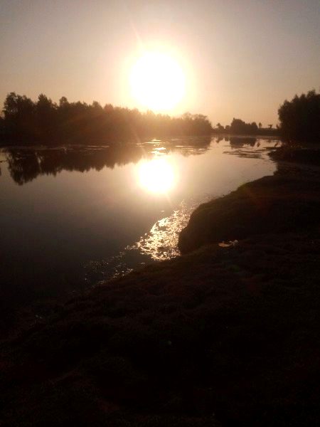 Beautiful Nature image