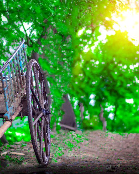 Beautiful Nature image