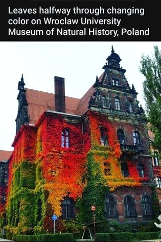 Interesting Posts image