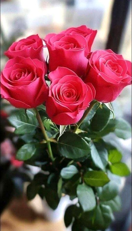 Beautiful Nature image