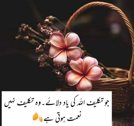 Islamic Quotes image
