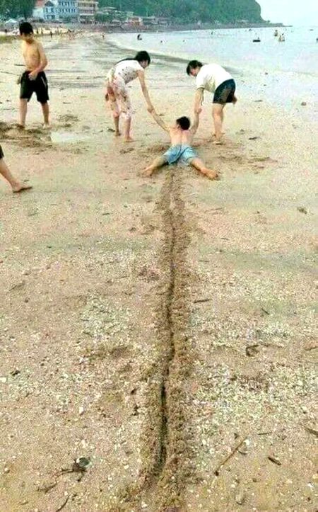 Memes & Satire image