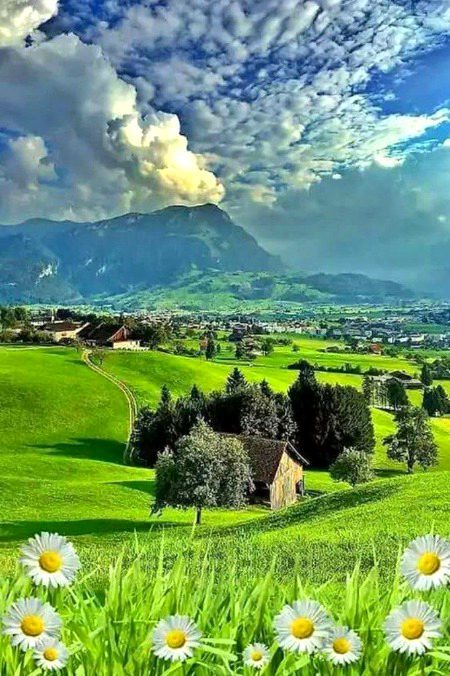 Beautiful Nature image