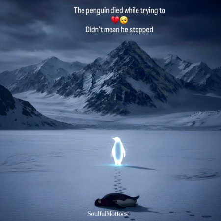 Tum darte ho sabko khone se Tum kho gaye ho, kisi ko dehan bhi hy?🐧🥀