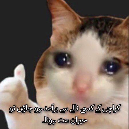 Memes & Satire image